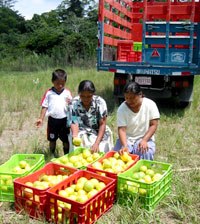 Zwei Frauen und ein Kind mit Araza-Früchten